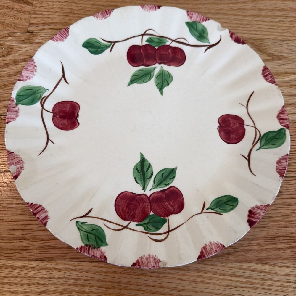 blue ridge southern pottery dinner plate hand painted